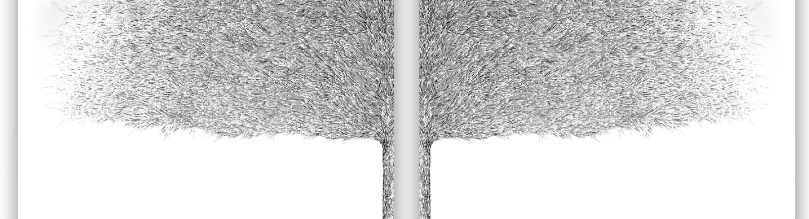 dyptic india ink on canvas