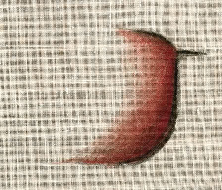 Artwork n.5 from Transparents by Mitra Divshali, painted on transparent canvas, 2005–2007