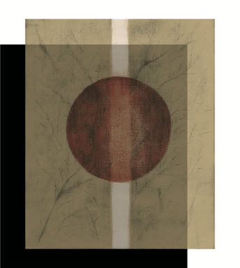 artwork on transparent canvas